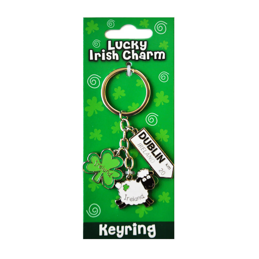 Irish Sheep Style Charm With Dublin Road Sign Keyring